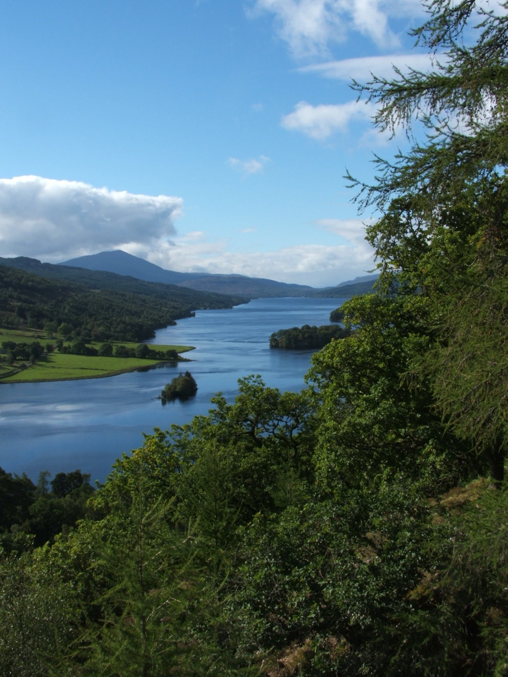 a view of a body of water with lots of greenery