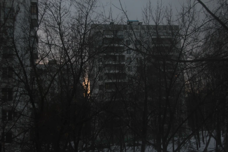 a tall building sits behind some trees at dusk