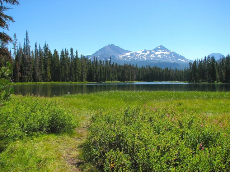 a scenic lake in the middle of some grass