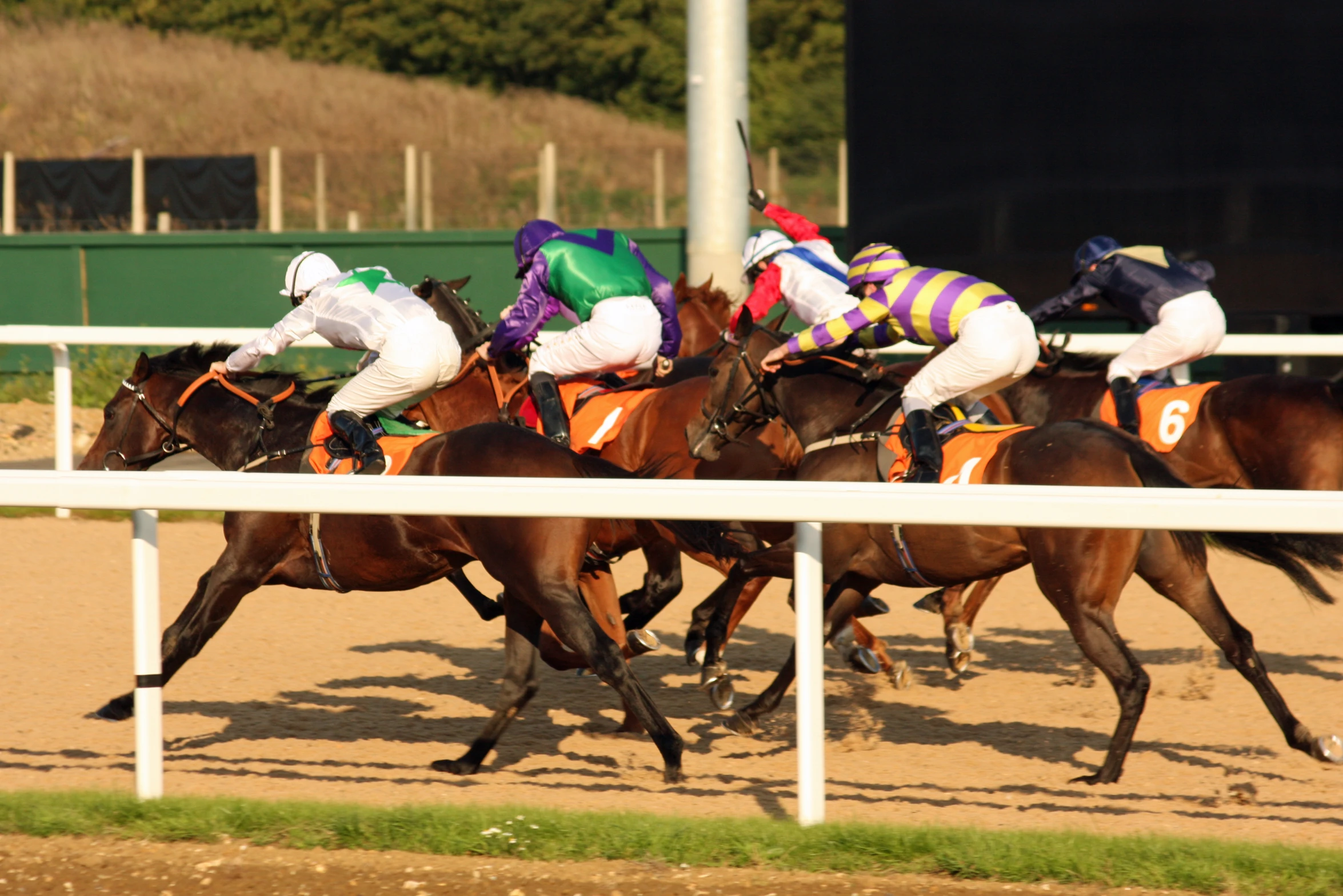 there are jockeys on horses racing down the track