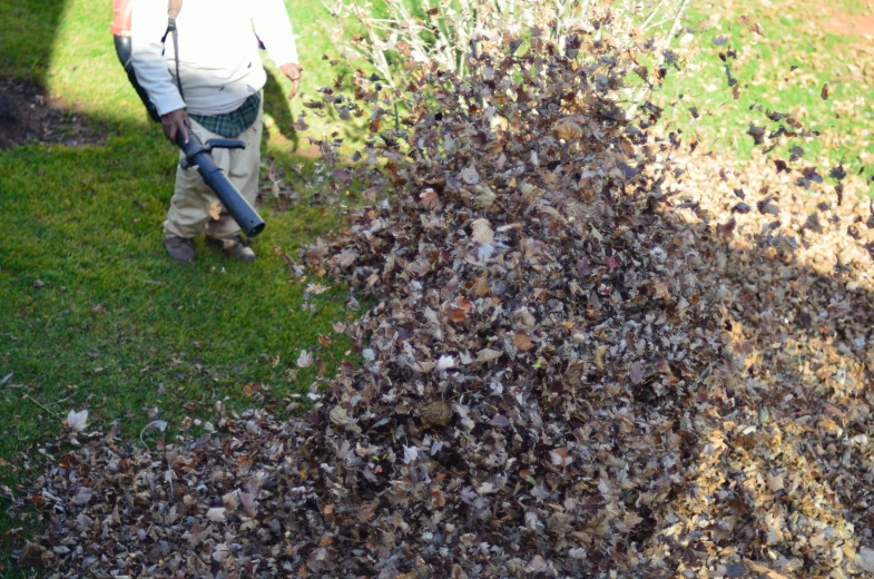 a man holding a large bat and walking through the grass