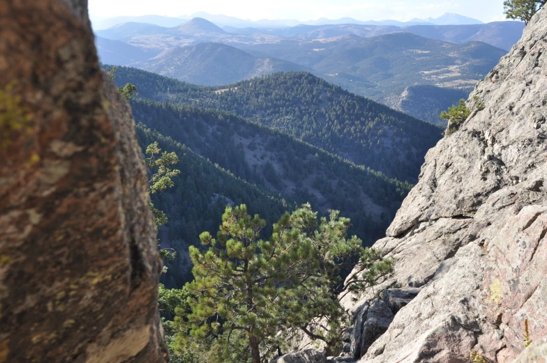 a rock cliff overlooking a forest filled with pine trees