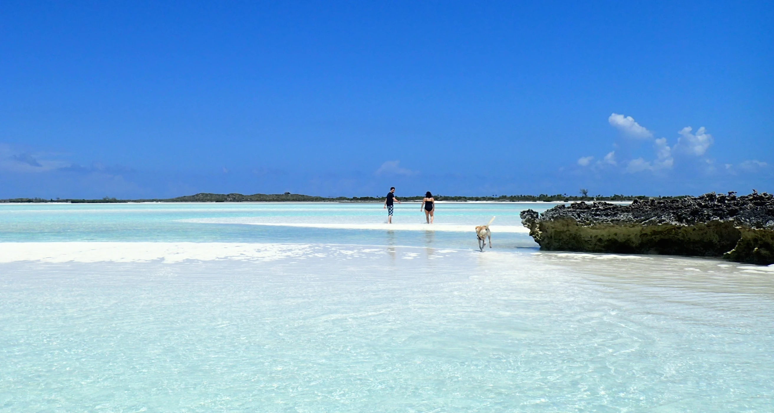 some people are walking around in clear water