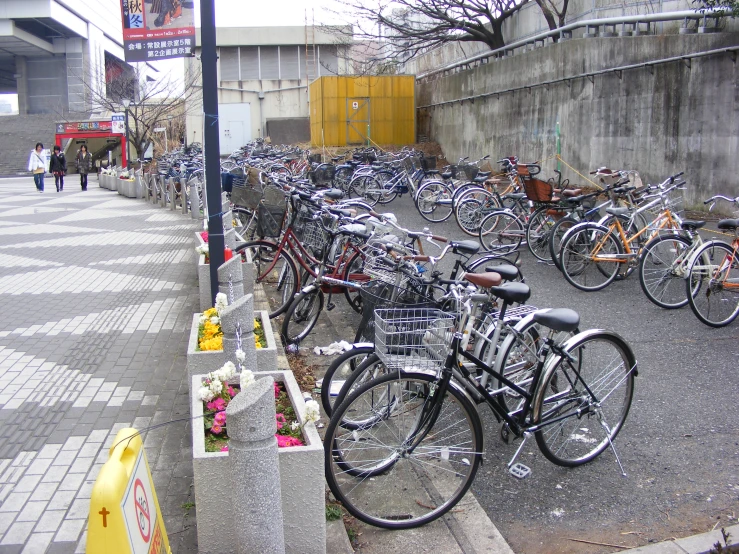 a group of bicycles are parked along the curb