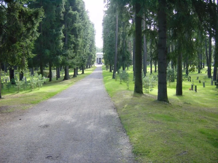 a large long driveway is near many trees