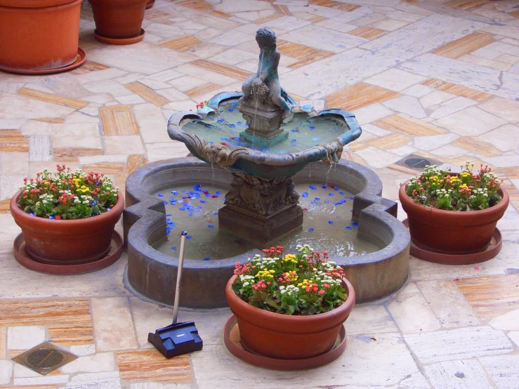 several pots with different types of flowers and a fountain