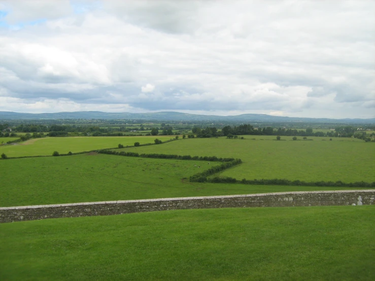 a view of an area with a lot of grass