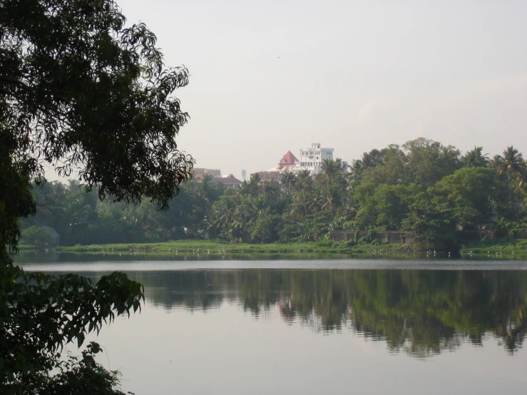 a body of water near some trees