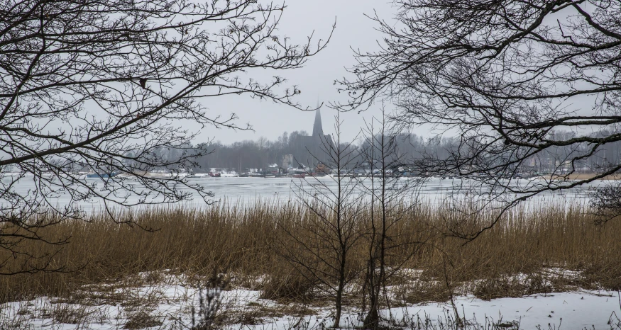 view from a lake with many trees and snow