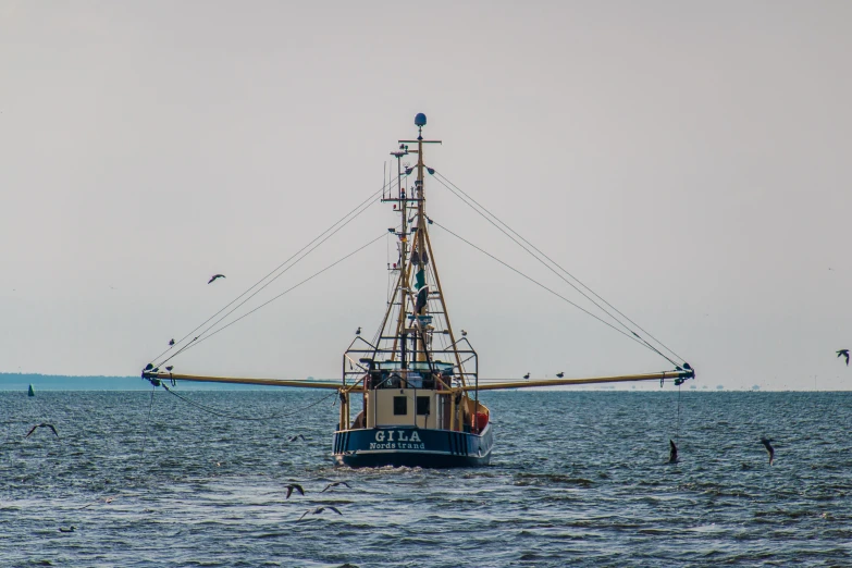 a boat on the ocean with birds flying overhead