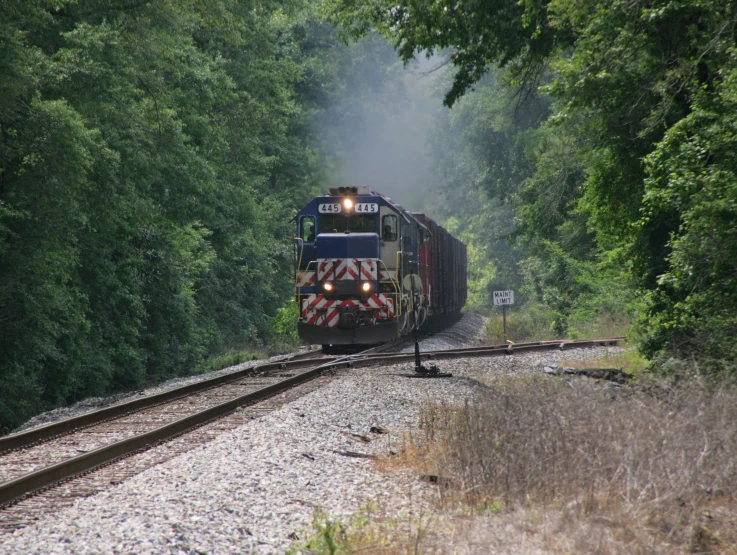 a train going through the trees in an open field