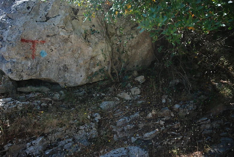 the large rock is under a tree and has a cross painted on it