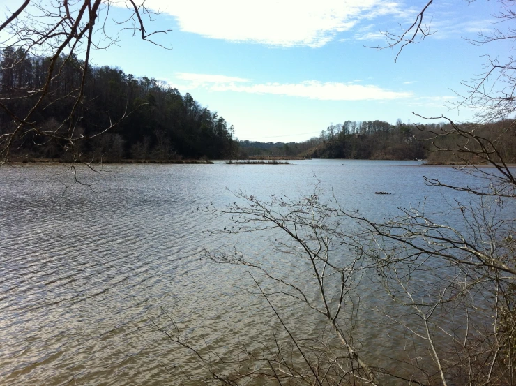 an area with lake, trees and sky in the background