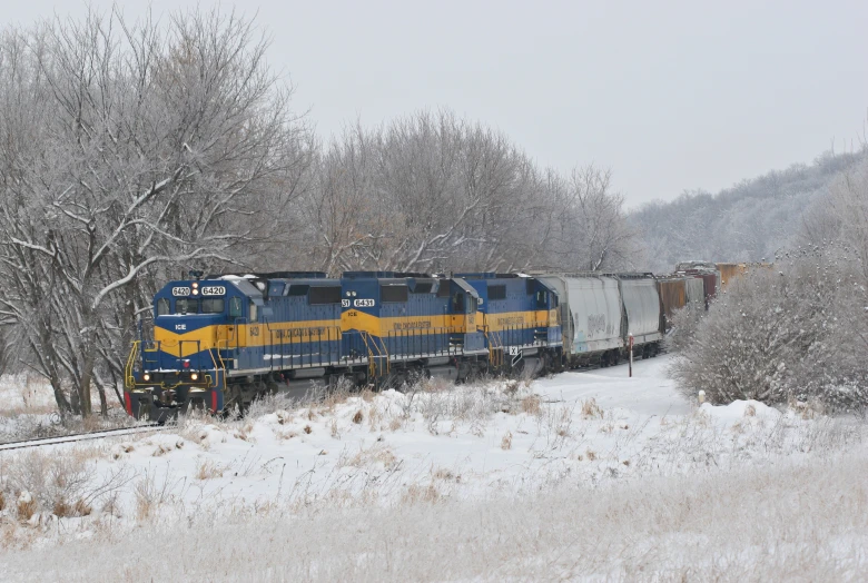 a train in the snow surrounded by trees