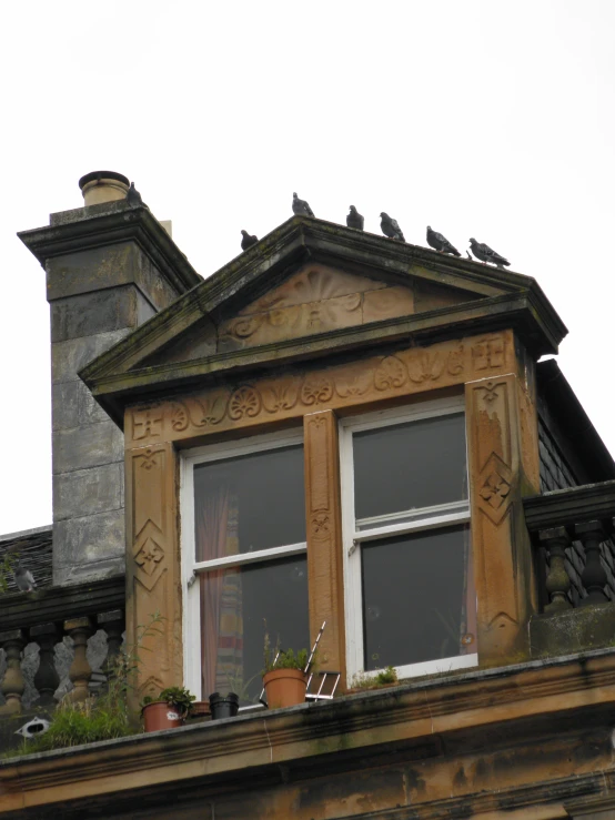 birds are perched on the roof of a building