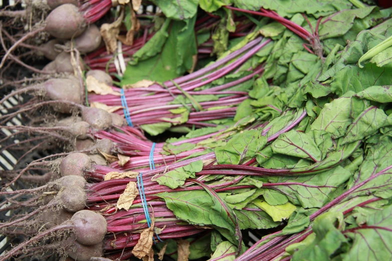 many fresh purple turnips with green leaves laying on top