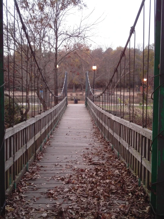 a wooden walkway going through a forest