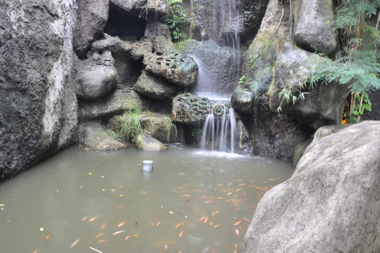 there is some plants next to a waterfall