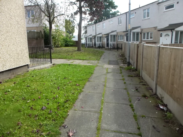 the lawn in the city street is covered with grass