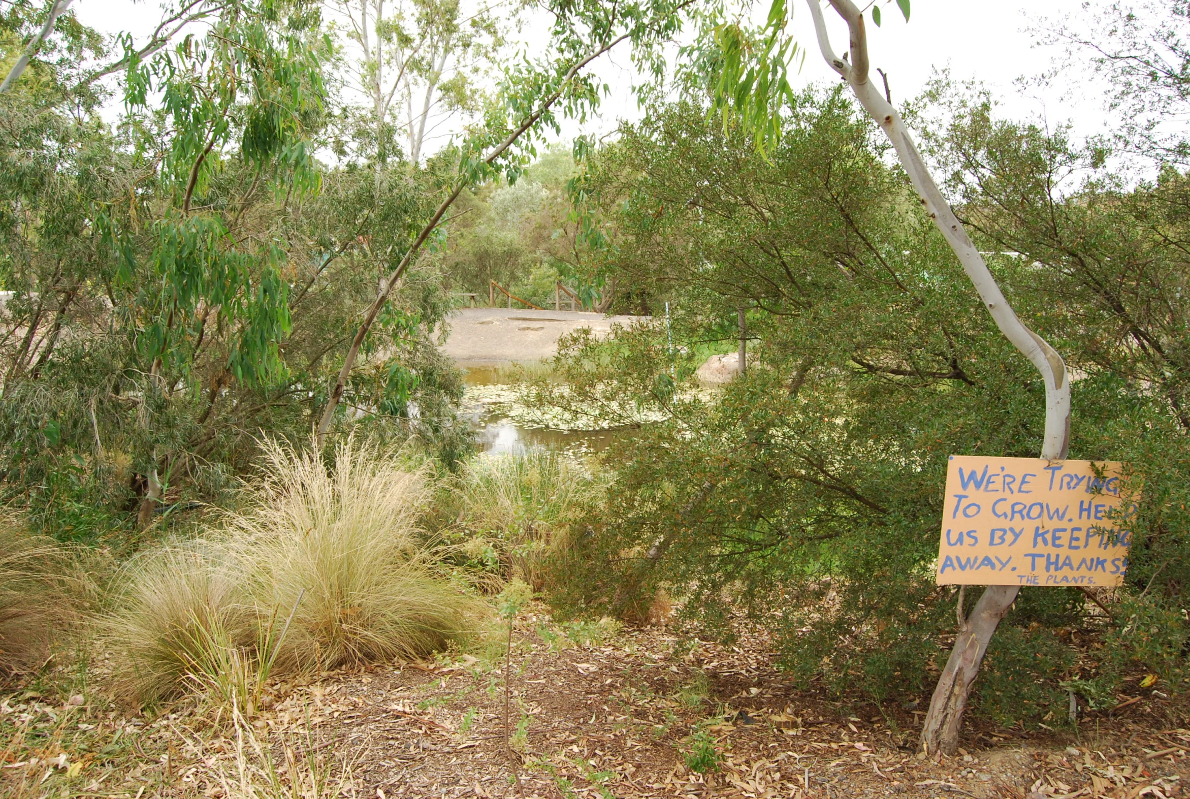 a sign posted in a forest warning motorists not to go on water