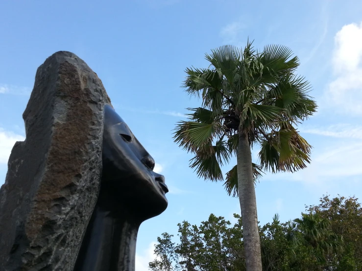 the tall palm tree is in front of a statue