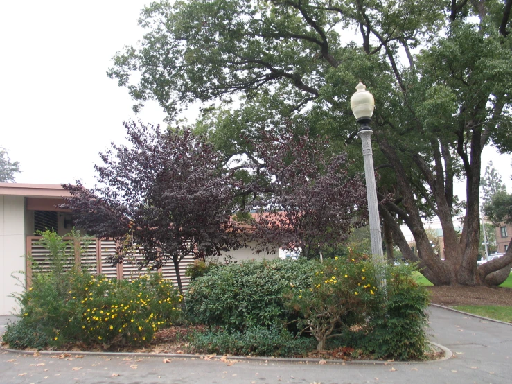 the street has flowers and shrubs on it