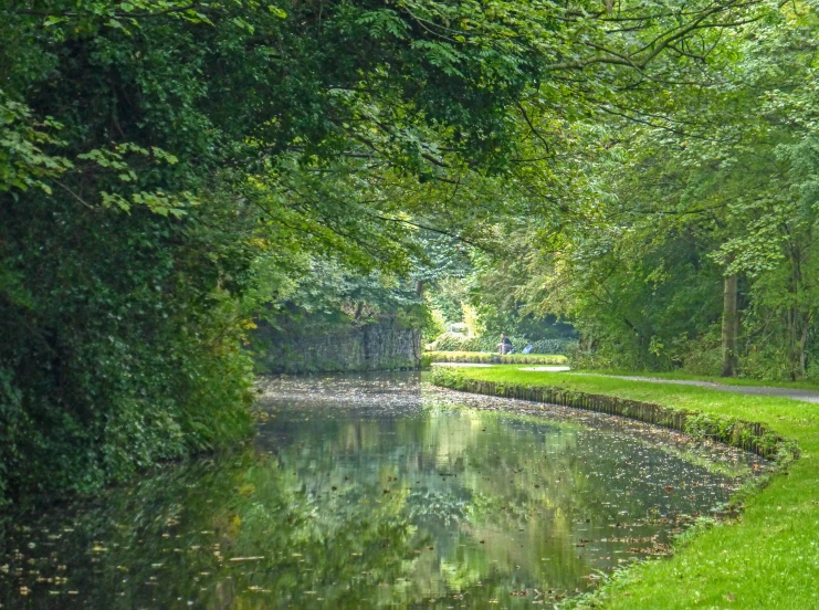 a body of water surrounded by greenery next to a road