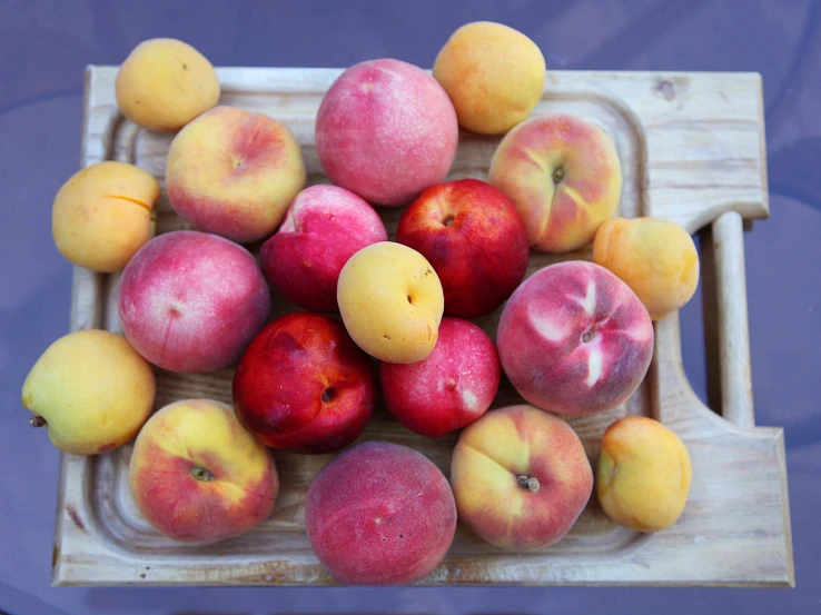 a group of fruit are sitting in a container