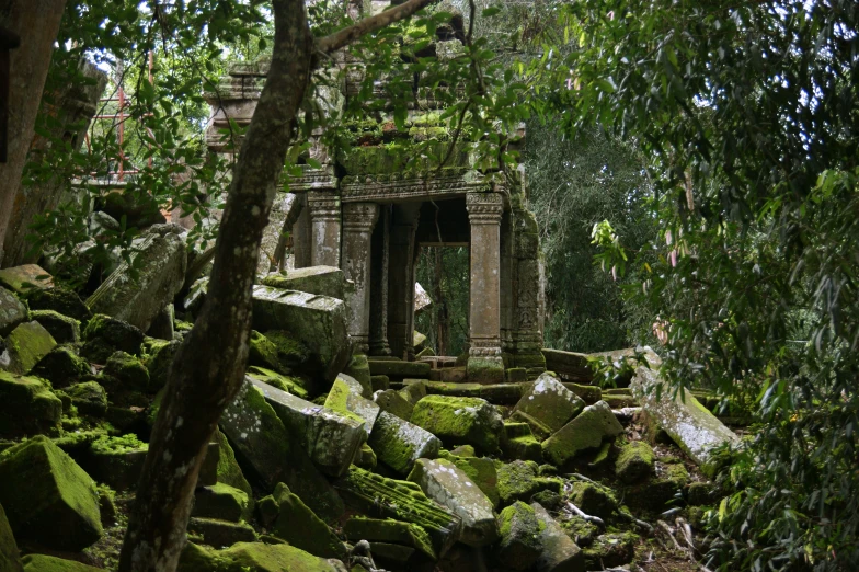 trees and rocks surround an ancient structure in a forest