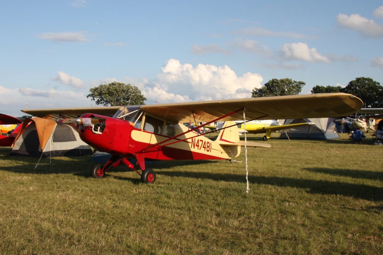 several planes in an open grassy field on a sunny day