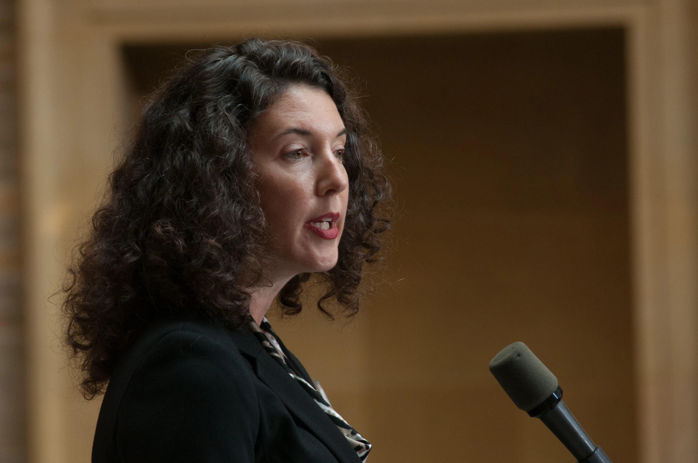 an image of woman speaking in front of people