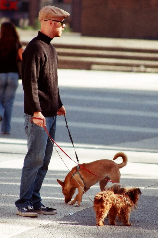 a man and two dogs walking on the street