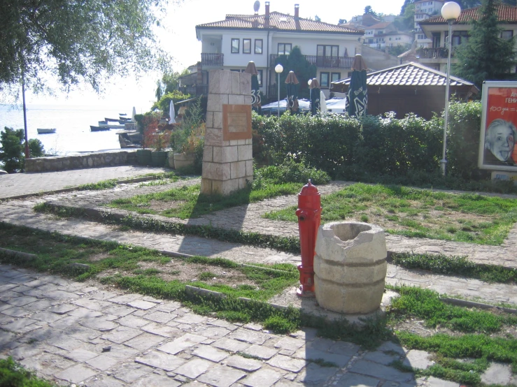 some grass and bushes with a fire hydrant near by