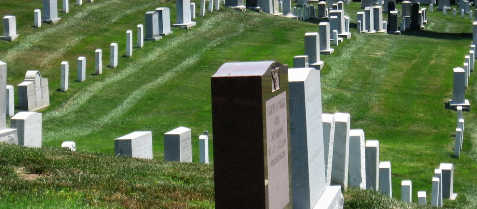 a graveyard with many headstones on green grass