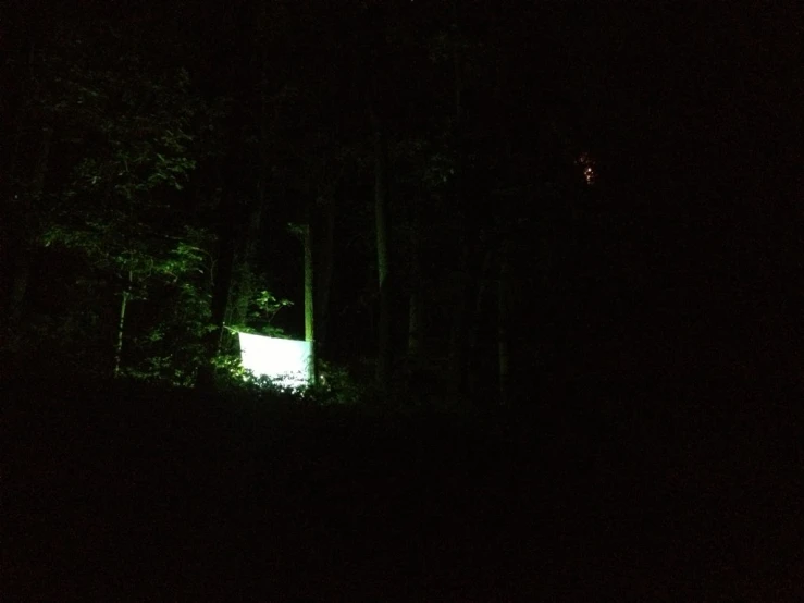 a light shining in the woods at night