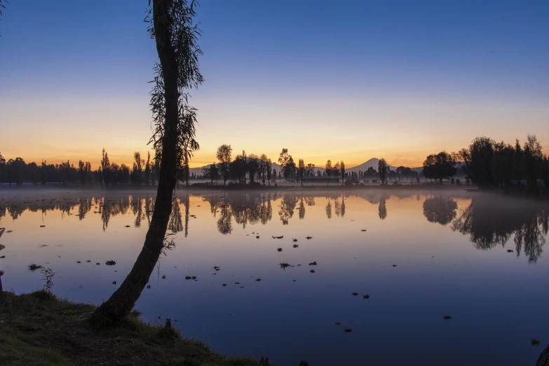 a lake with birds flying near and trees