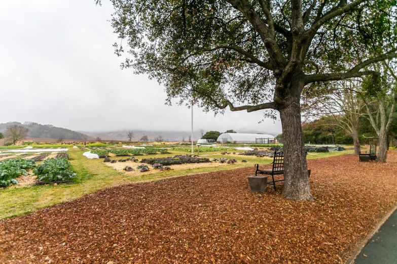 a park with a bench, trees and a cloudy sky