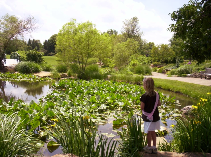 a girl standing in front of a small pond and looking at the water