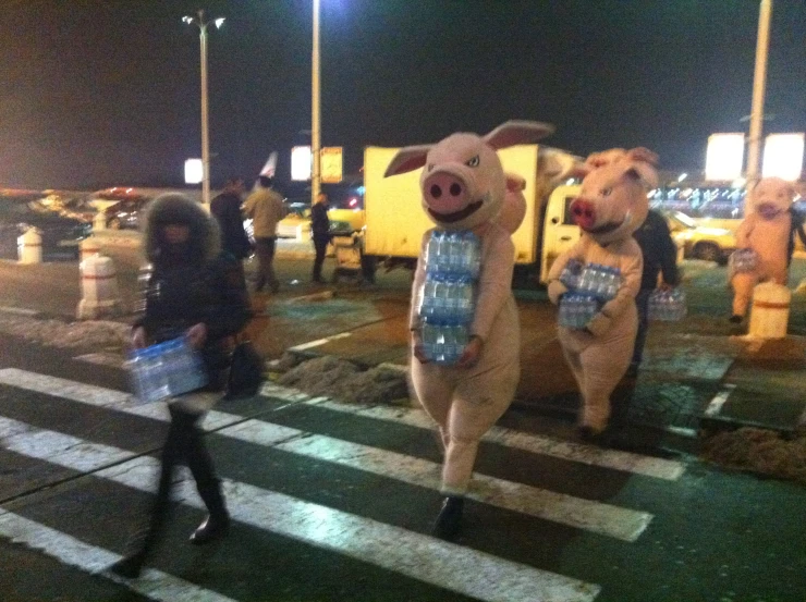 several people walking with pigs on their backs