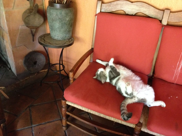 a cat lying on top of a red chair