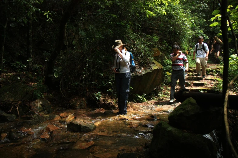 some people walking across a stream in a forest