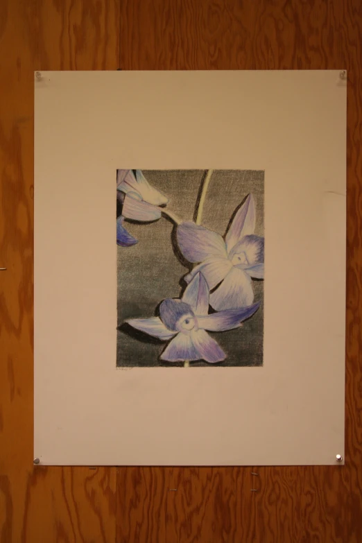 a black and white drawing of flowers sitting on top of a table