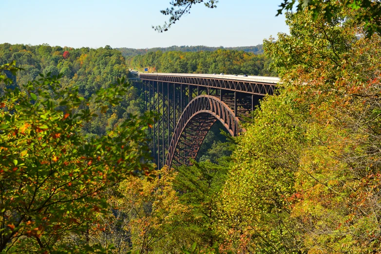 a train travels across a large bridge above some trees