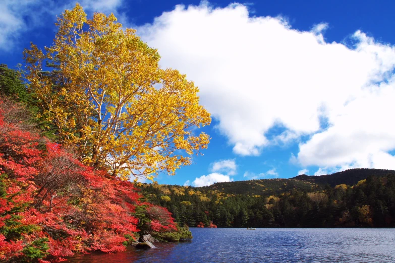 the colorful leaves of the trees above the lake are changing colors