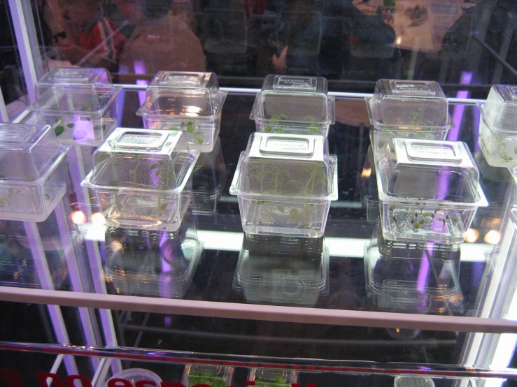 several pieces of food sitting on a glass display case