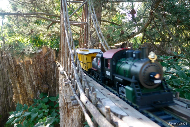 the train is traveling in a wooded area