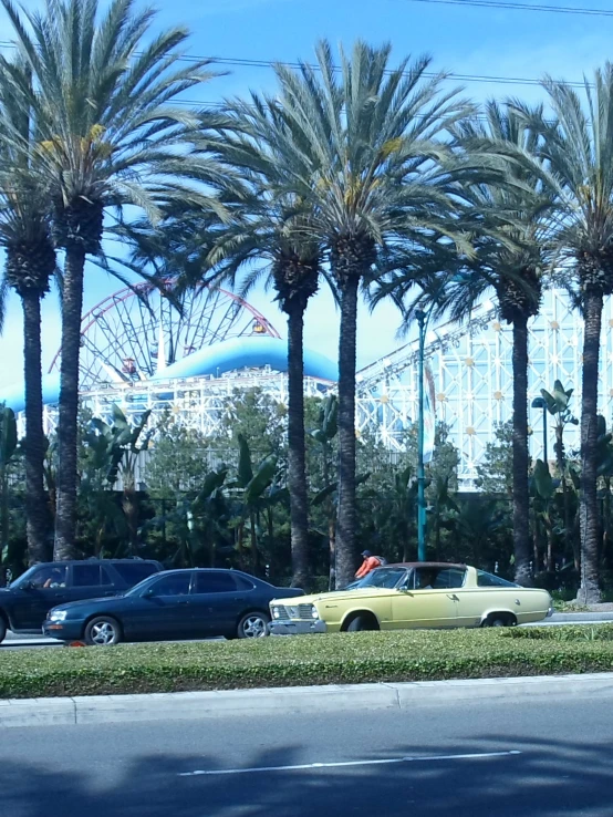 a couple of cars that are parked near some trees