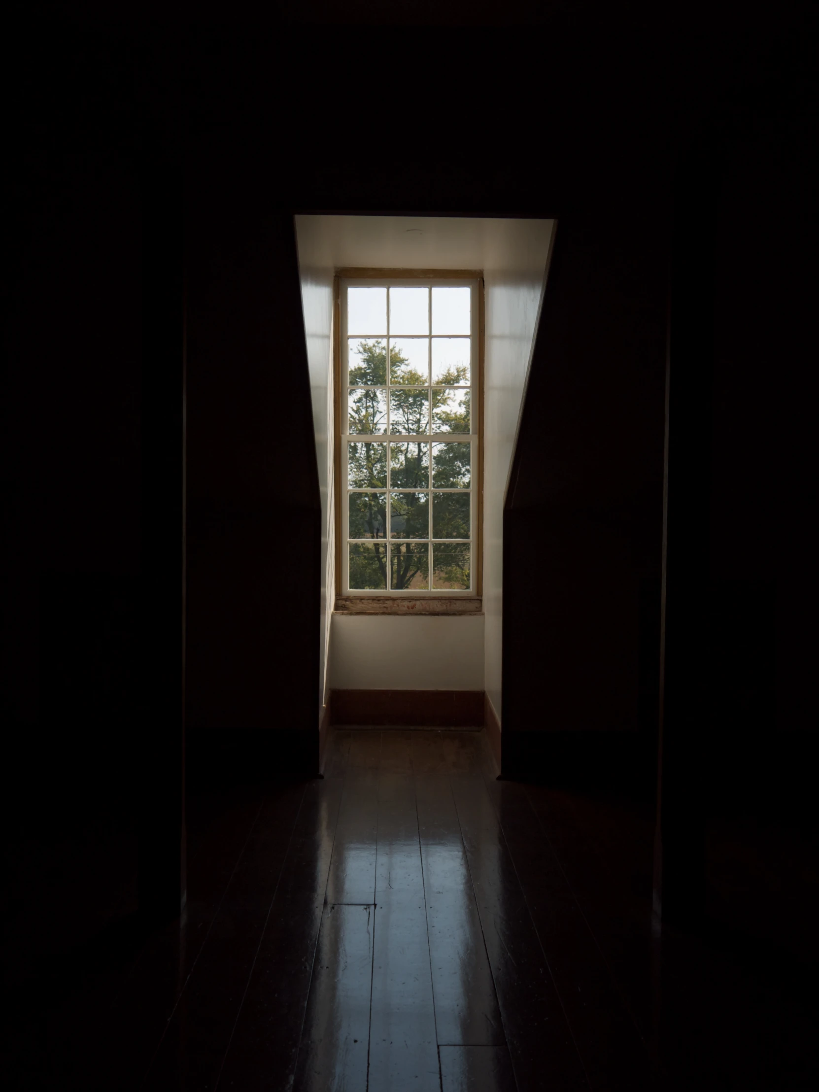 a dimly lit room with a tree outside the window