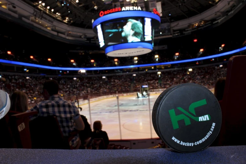 hockey teams fans looking on at a sporting arena