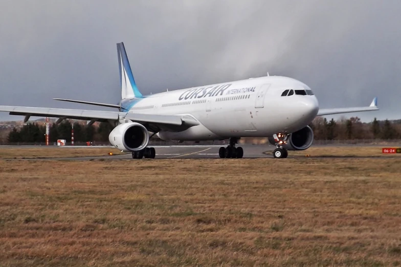 a large airplane on a runway near trees